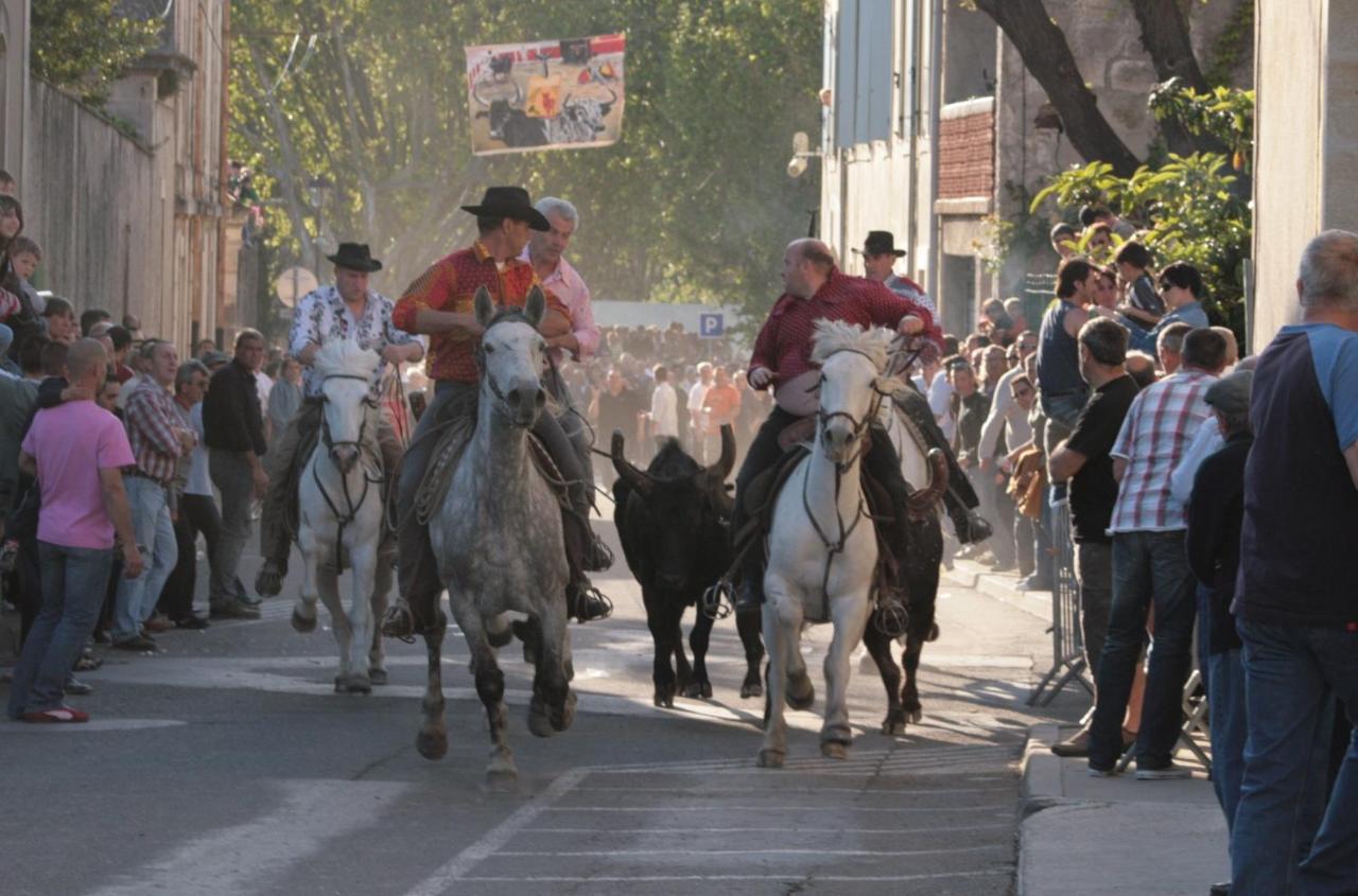 Gite De Vacances En Camargue ☆☆Nn Vauvert Bagian luar foto