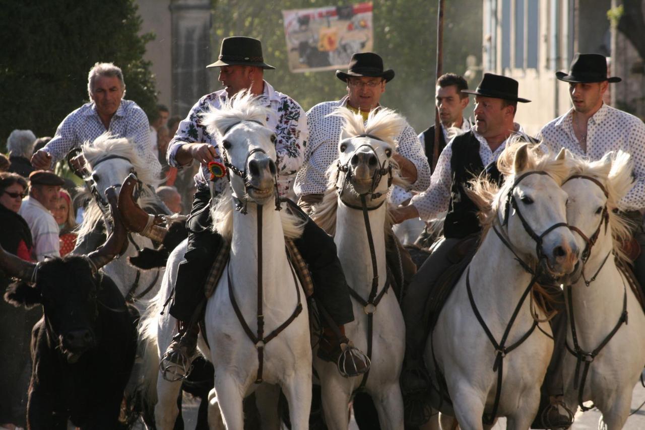 Gite De Vacances En Camargue ☆☆Nn Vauvert Bagian luar foto